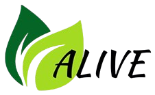 Philadelphia Web Design - Media Proper